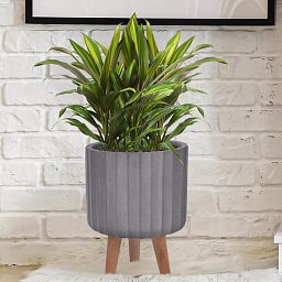 IDEALIST Lite Modern Ribbed Cylinder Planter on Legs, Round Pot Plant Stand Indoor