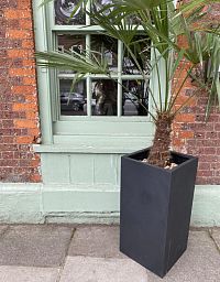Tall Fiberstone Square Planter by Idealist Premium BOUVY