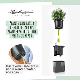 LECHUZA CUBE Glossy Kiss Square Poly Resin Indoor Self-watering Planter