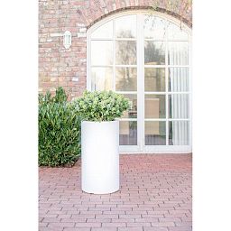 PREMIUM CLASSIC Planting Column Round Tall Plastic Planter