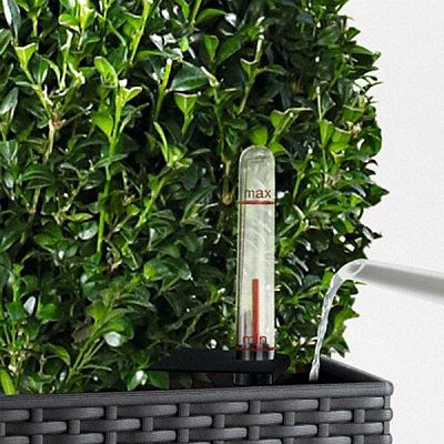 LECHUZA CUBE Cottage Square Poly Resin Self-watering Planter Set