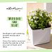 LECHUZA CUBE Glossy Kiss Square Poly Resin Indoor Self-watering Planter