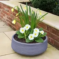 IDEALIST Lite Large Ribbed Stone Grey Light Concrete Garden Bowl Plant...