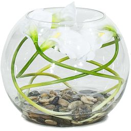 Natural Illusion Glass Vase 30
