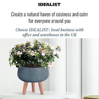IDEALIST Lite Plaited Style Bowl Planter on Legs, Round Pot Plant Stand Indoor IDEALIST Lite Plaited Style Bowl Planter on Legs, Round Pot Plant Stand Indoor
