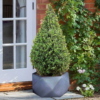 IDEALIST Lite Faceted Effect Bowl Planter Indoor Plant Pot
