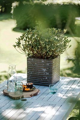 Square Resin Planter by Cadix Capi Tutch Row