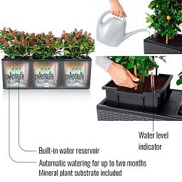 LECHUZA TRIO Cottage Trough Poly Resin Self-watering Planter