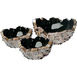Shell Mother of pearl Bowl Polystone Indoor Planter