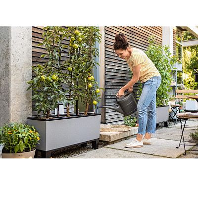 LECHUZA TRIO Stone Trough Poly Resin Self-watering Planter