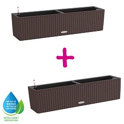 LECHUZA BALCONERA Cottage Trough Poly Resin Self-watering Planter Set