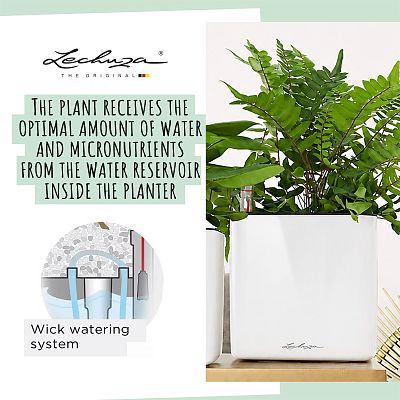 LECHUZA Green Wall Home Kit Glossy Indoor Self-watering Planter