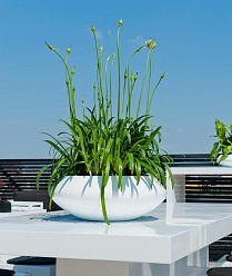 Round Fiberstone Bowl Glossy Tara Planter by Idealist Premium