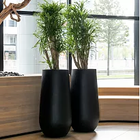 Fibrestone Nax L Black Tall D50 H101 cm Planter by Idealist Premium, 1...