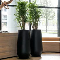 Fibrestone Nax L Black Tall D50 H101 cm Planter by Idealist Premium, 1...