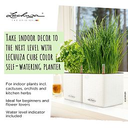 LECHUZA CUBE Color Square Poly Resin Indoor Self-watering Planter