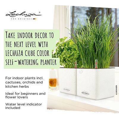 LECHUZA CUBE Color Square Poly Resin Indoor Self-watering Planter