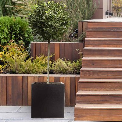 IDEALIST Lite Square Box Contemporary Light Concrete Planter Set