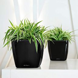 LECHUZA QUADRO Square Poly Resin Planter Only