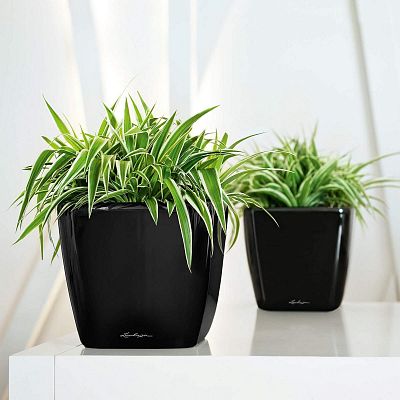LECHUZA QUADRO Square Poly Resin Planter Only