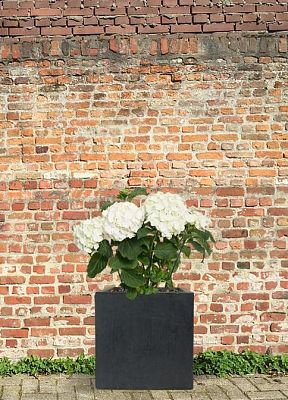 IDEALIST Lite Square Box Contemporary Light Concrete Planter