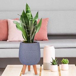 IDEALIST Lite Honeycomb Style Egg Planter on Legs, Round Pot Plant Stand Indoor