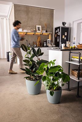 LECHUZA CLASSICO Color ECO Round PCR Plastic Self-watering Planter