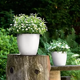 LECHUZA CLASSICO Color Round Poly Resin Self-watering Planter