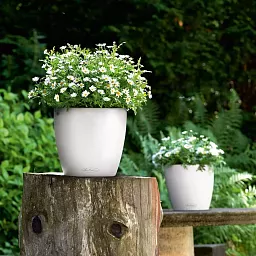 LECHUZA CLASSICO Color Round Poly Resin Self-watering Planter