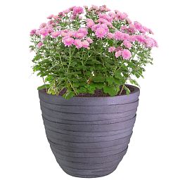 IDEALIST Lite Row Light Concrete Egg Planter
