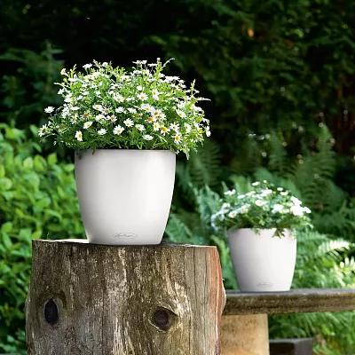 LECHUZA CLASSICO Color Round Poly Resin Self-watering Planter