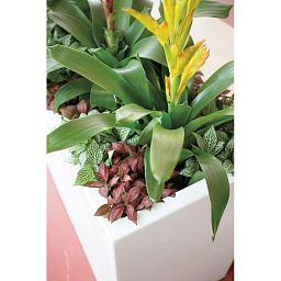 PREMIUM BLOCK Room Divider Trough Plastic Planter