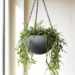Gradient Hanging Bowl Planter | Polyresin Indoor Plant Pot