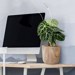 HORTICO CRAFT Wooden House Planter Round Indoor Plant Pot for House Plants with Waterproof Liner