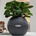 LECHUZA PURO Color Round Poly Resin Self-watering Planter