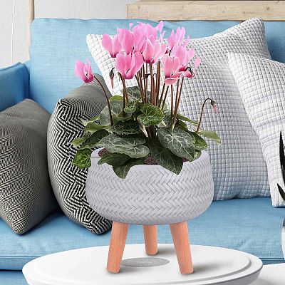 IDEALIST Lite Plaited Style Bowl Planter on Legs, Round Pot Plant Stand Indoor