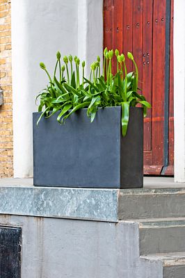 Raised Fiberstone Trough Planter by Idealist Premium JORT