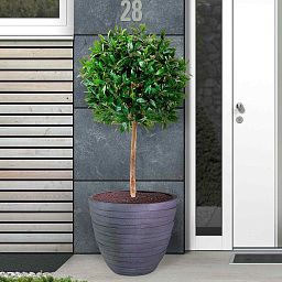 IDEALIST Lite Row Light Concrete Egg Planter