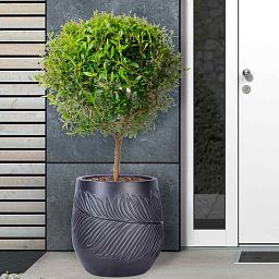 IDEALIST Lite Leaf Embossed Egg Planter