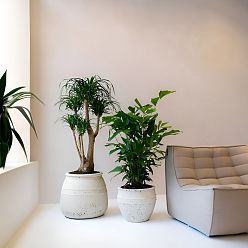 Mediterranean Ficonstone Planter | Indoor and Outdoor Plant Pot Hestia Vase
