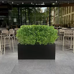 IDEALIST Lite Contemporary Light Concrete Trough Planter