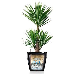 LECHUZA CLASSICO Round Poly Resin Self-watering Planter with Substrate