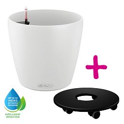 LECHUZA CLASSICO Color Round Poly Resin Self-watering Planter Set