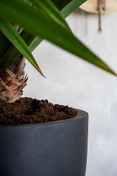 Round Egg Fiberstone Planter by Idealist Premium