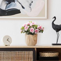 HORTICO CRAFT Wooden House Planter Round Indoor Plant Pot for House Plants with Waterproof Liner