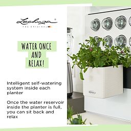 LECHUZA Green Wall Home Kit Color Indoor Self-watering Planter