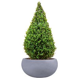 IDEALIST Lite Classic Smooth Bowl Outdoor Planter