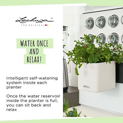 LECHUZA Green Wall Home Kit Color Indoor Self-watering Planter