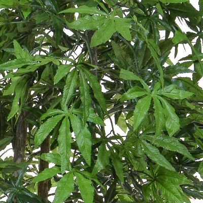 Maple Japanese Flame Retardant Artificial Tree Plant