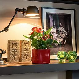 LECHUZA CUBE Glossy Square Poly Resin Indoor Self-watering Planter